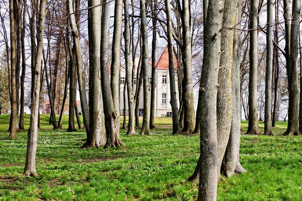 Cały Pałac Pacółtowo na wyłączność Exterior foto